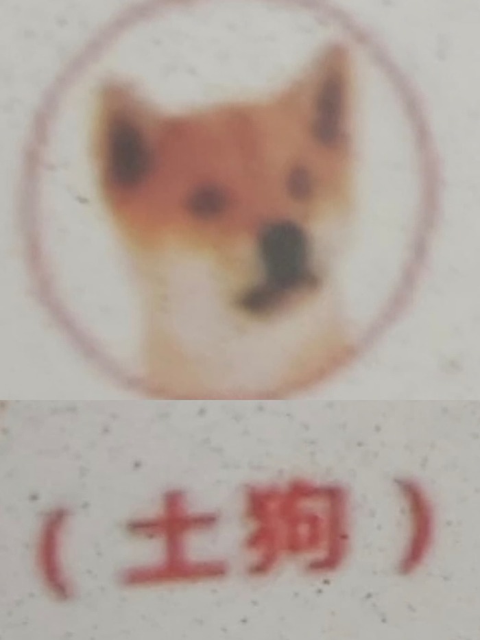 Collage_20240104_171557