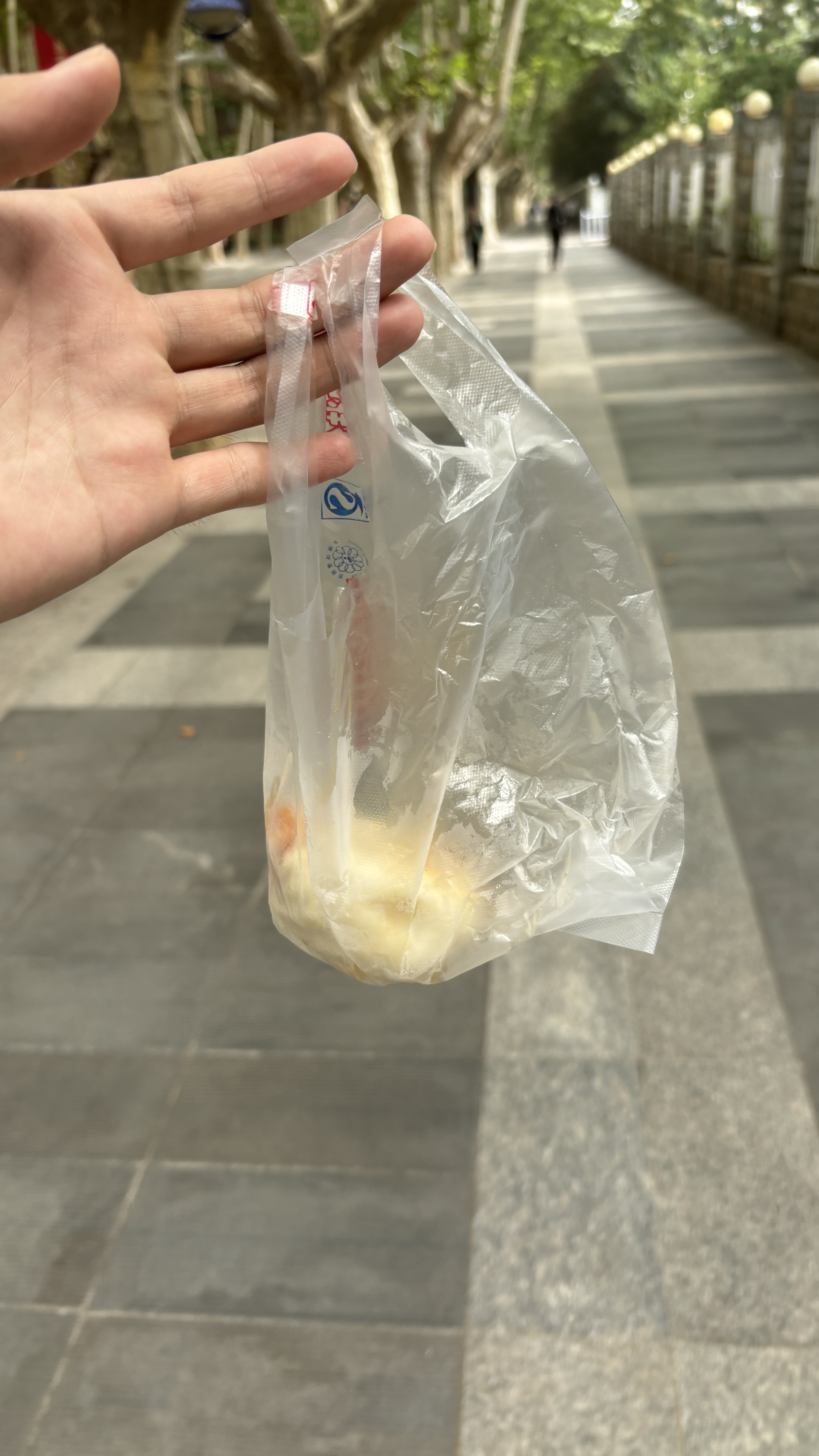 正宗的西工大包子